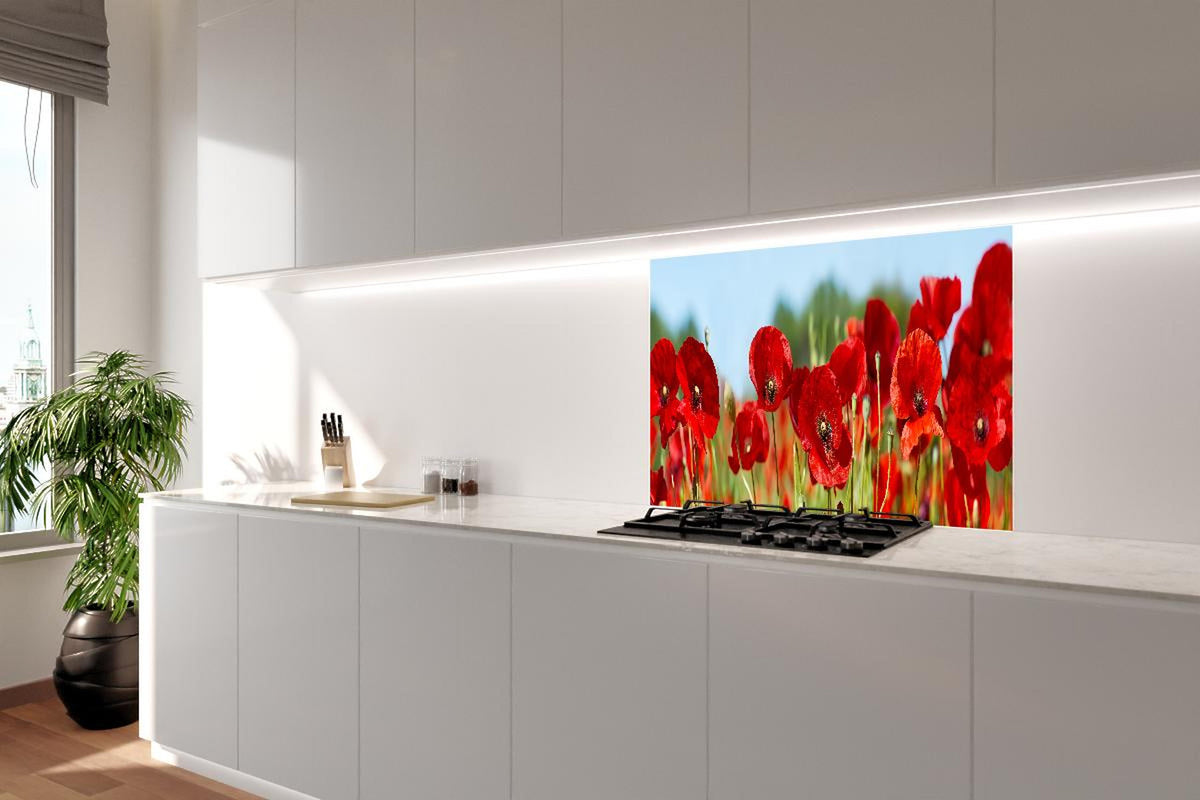 Spritzschutz - Rote Mohnblumen auf einem Feld