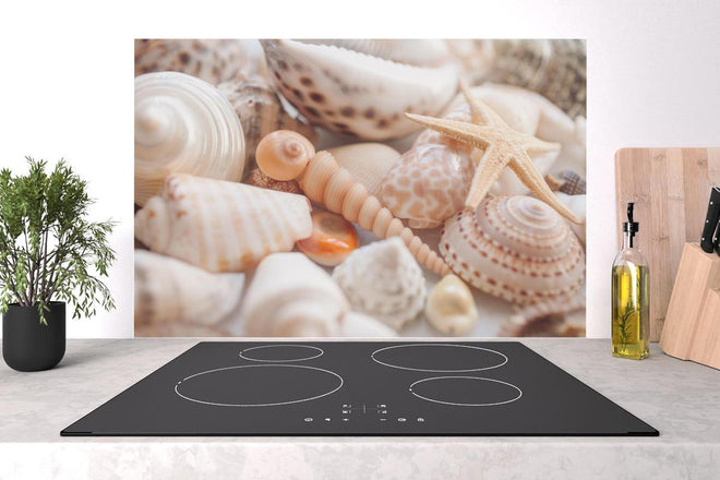 Spritzschutz - Schöne Muschelsammlung