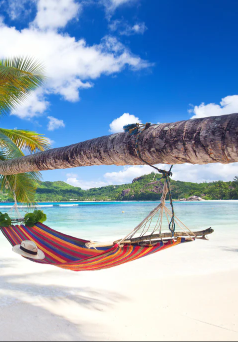 Duschrückwand - Urlaub am Strand in Seychellen