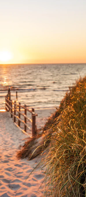Duschrückwand - Dünen am Strand an der Nordsee bei Sonnenuntergang