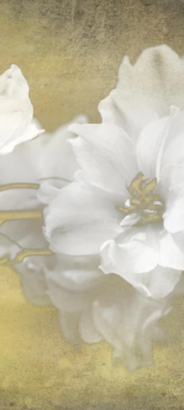 Duschrückwand - weiße Blumen auf goldenem Hintergrund