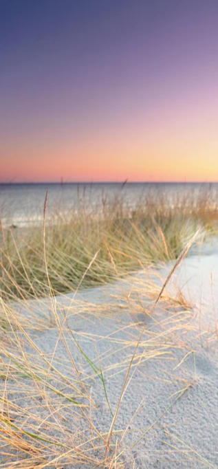 Duschrückwand - Goldenes Sonnenlicht an der Ostsee