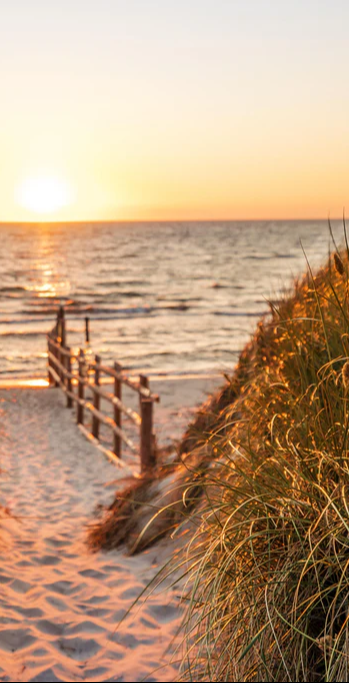 Duschrückwand - Dünen am Strand an der Nordsee bei Sonnenuntergang