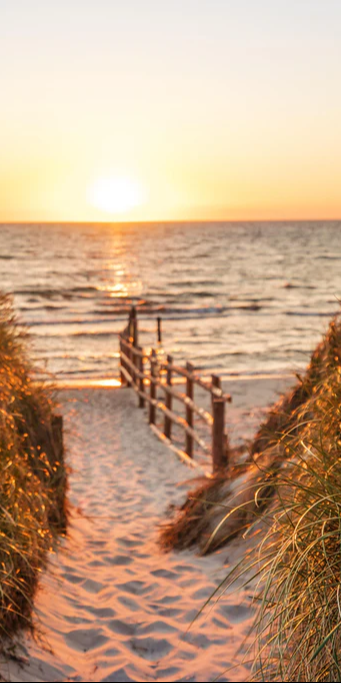 Duschrückwand - Dünen am Strand an der Nordsee bei Sonnenuntergang