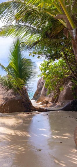 Duschrückwand - Der Traumstrand - Anse Source d Argent