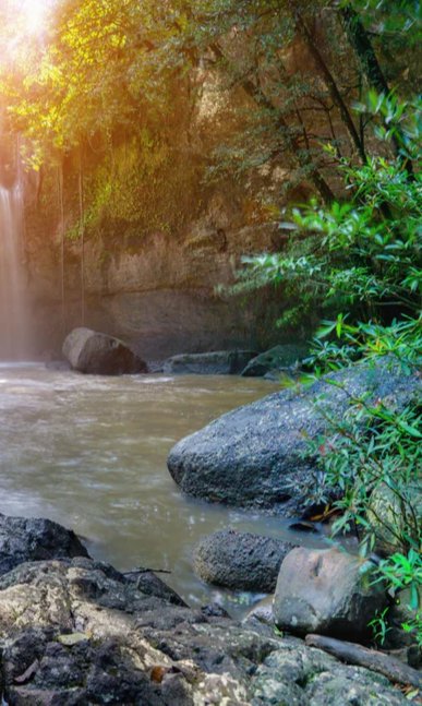 Duschrückwand - Wasserfall in Malaysia - Asien