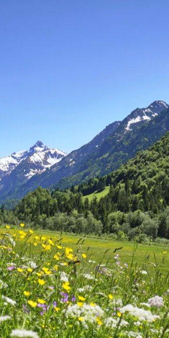 Duschrückwand - Bunte Wiese in den Alpen