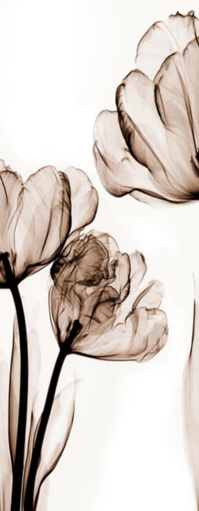Duschrückwand - Abstraktes Blumendesign