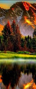 Duschrückwand - Eigenes Wunsch-Motiv