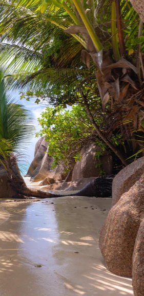 Duschrückwand - Der Traumstrand - Anse Source d Argent