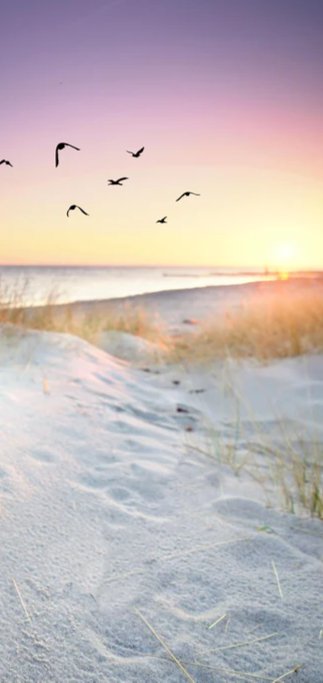 Duschrückwand - Goldenes Sonnenlicht an der Ostsee