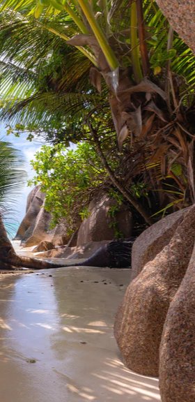 Duschrückwand - Der Traumstrand - Anse Source d Argent