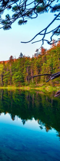 Duschrückwand - Idyllischer Sommermorgen am Eibsee