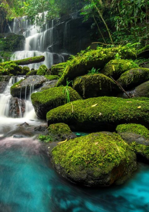 Duschrückwand - Wasserfall im grünen Dschungel von Thailand