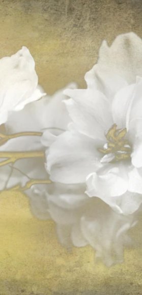 Duschrückwand - weiße Blumen auf goldenem Hintergrund