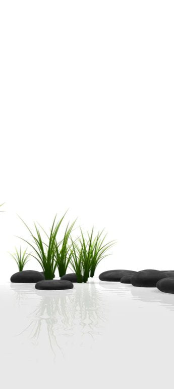 Duschrückwand - Ruhiges Steine Gefilde mit Gras und Wasser