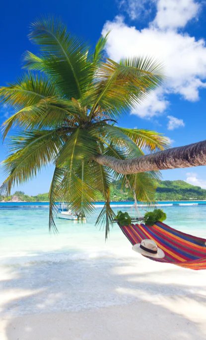 Duschrückwand - Urlaub am Strand in Seychellen