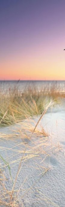 Duschrückwand - Goldenes Sonnenlicht an der Ostsee