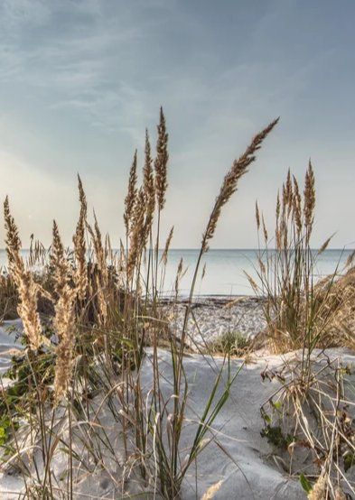 Duschrückwand - Friedlicher Ausblick an der Ostseeküste