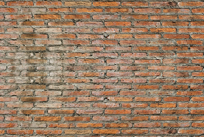 Duschrückwand - Alter Backstein - Textur