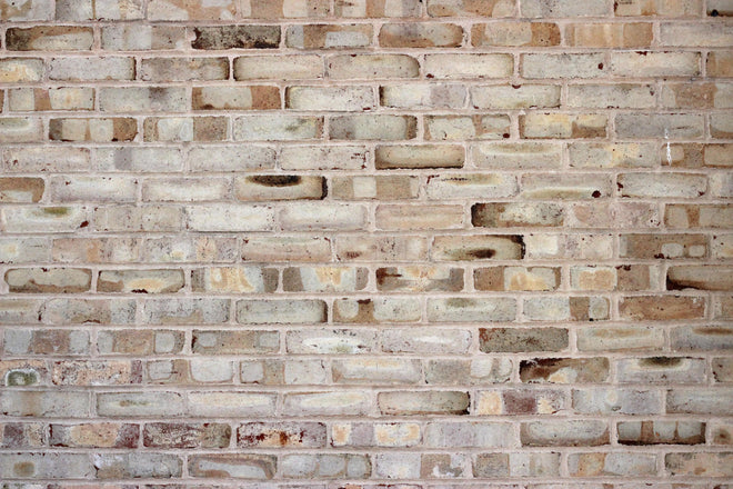 Duschrückwand - Braune verschimmelte Ziegelmauer