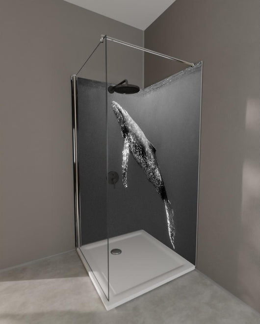 Duschrückwand - Buckelwal