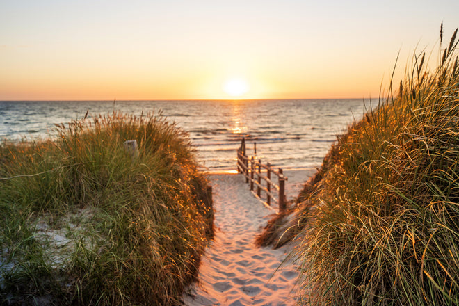 Duschrückwand - Dünen am Strand an der Nordsee bei Sonnenuntergang