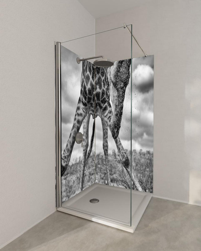 Duschrückwand - Dynamische Giraffe Schwarz-Weiß Momentaufnahme