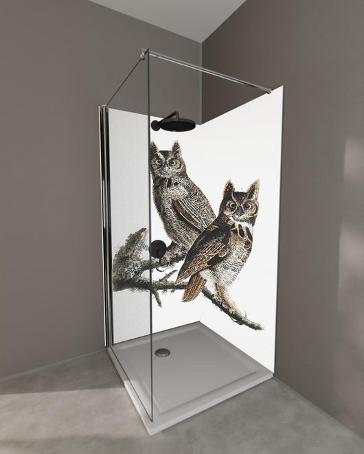 Duschrückwand - Eulen Portrait - Robert Havell