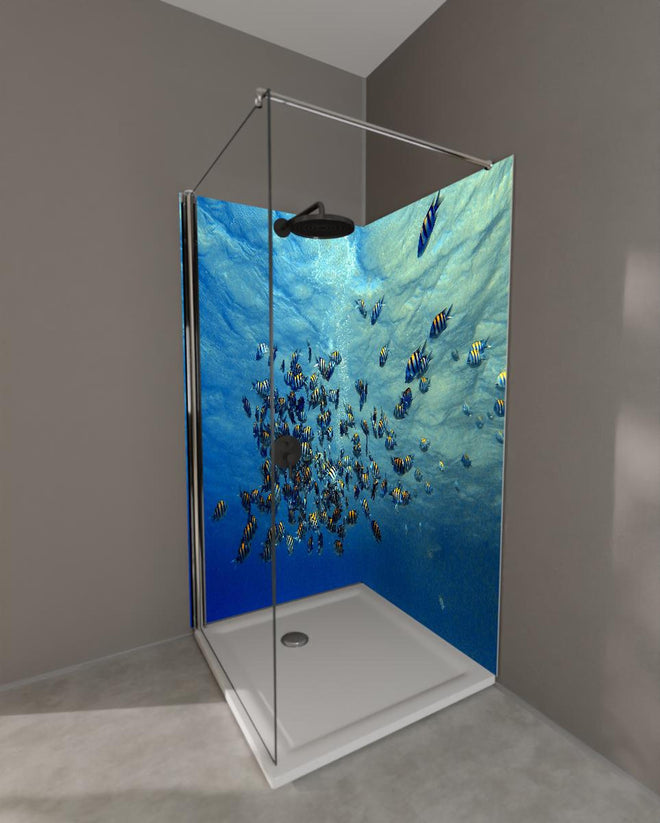 Duschrückwand - Fische im klarem Meer
