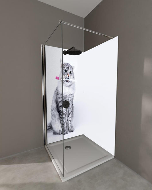 Duschrückwand - Lustige Katze mit Zahnbürste