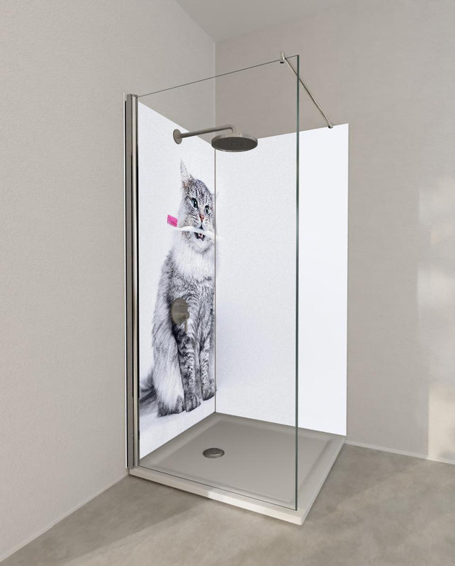 Duschrückwand - Lustige Katze mit Zahnbürste