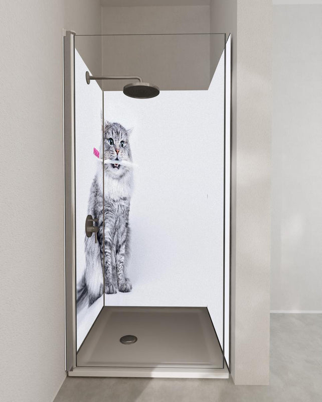 Duschrückwand - Lustige Katze mit Zahnbürste