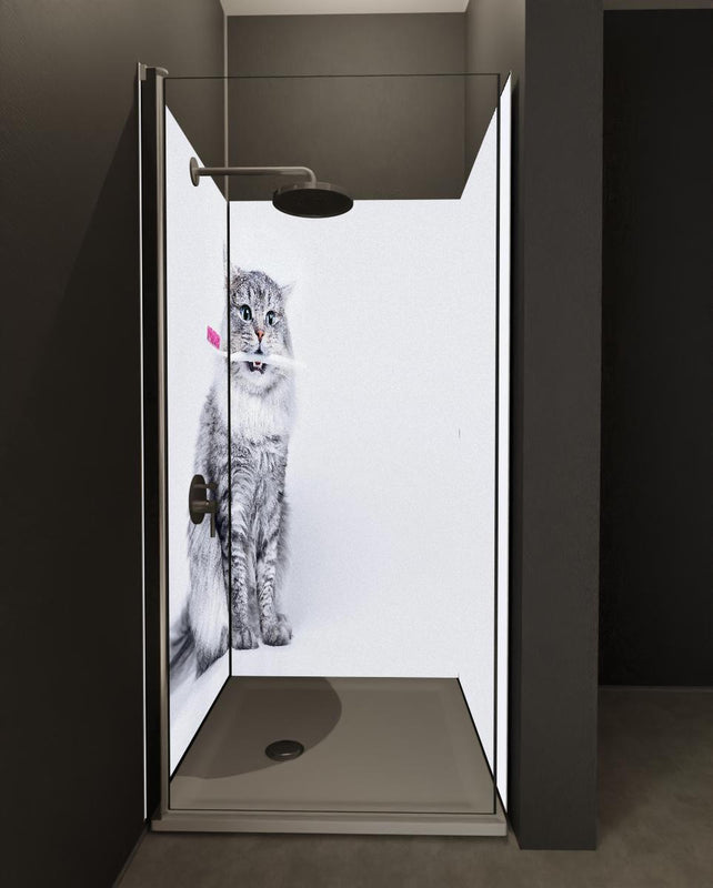 Duschrückwand - Lustige Katze mit Zahnbürste
