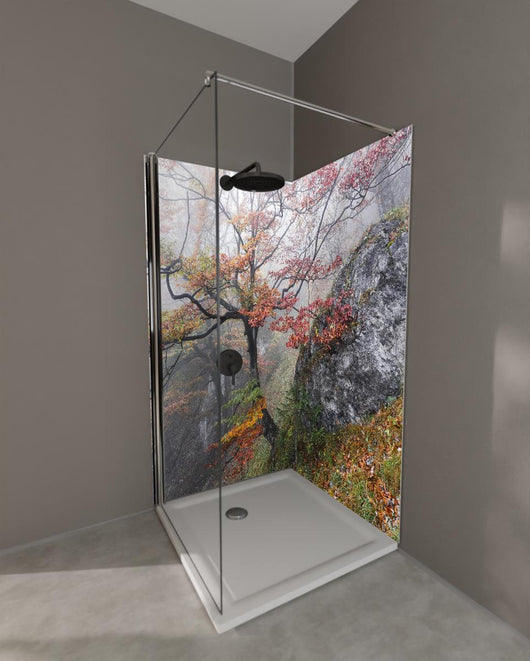 Duschrückwand - Nebliger Wald - Slowakei