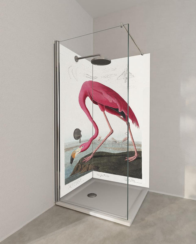 Duschrückwand - Pinker Flamingo - John James Audubon