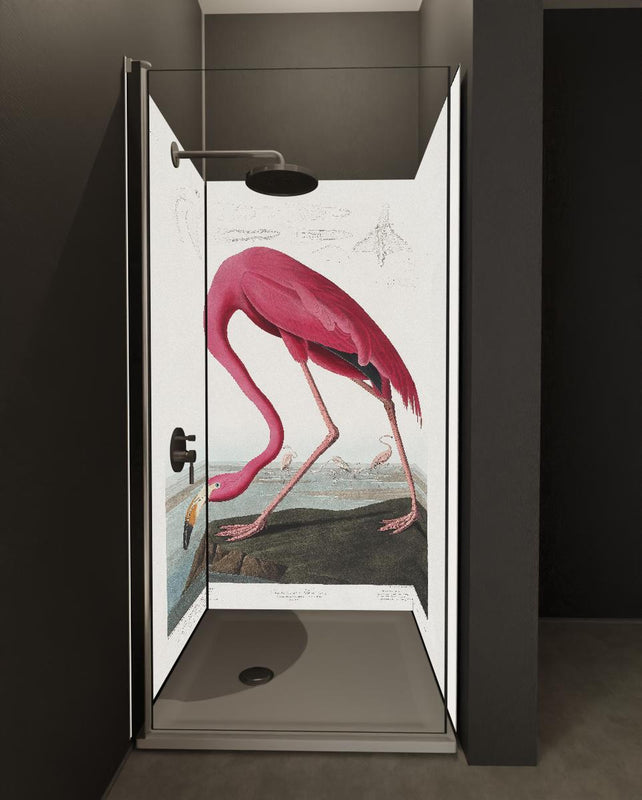 Duschrückwand - Pinker Flamingo - John James Audubon