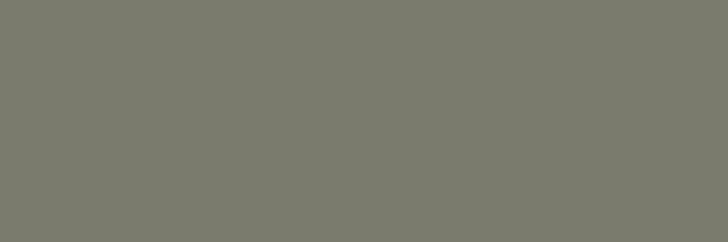 Duschrückwand - RAL 7003 (Moosgrau)