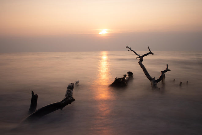 Duschrückwand - Stimmungsvoller Sonnenuntergangs-Strand