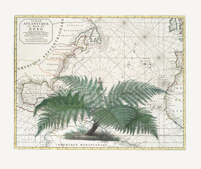 Duschrückwand - Tropical Empire No4