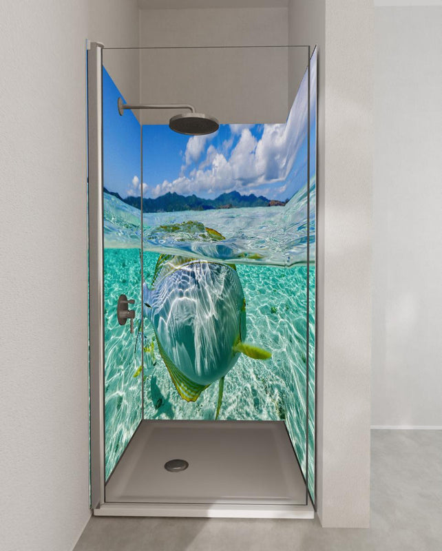 Duschrückwand - Tropischer Fisch - Unterwasserwelt