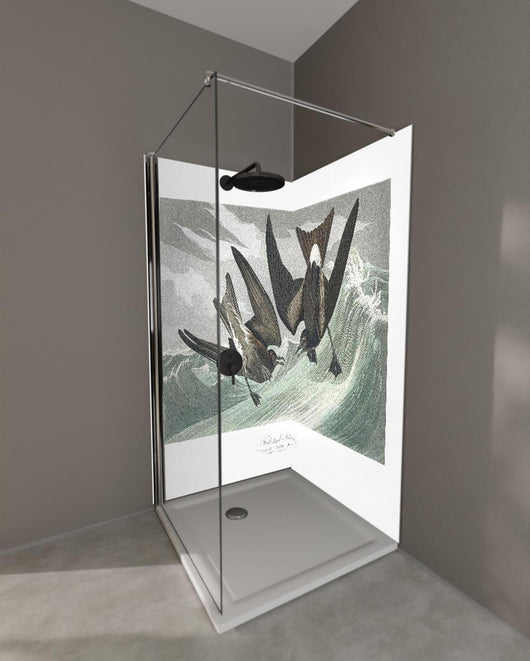 Duschrückwand - Vögel mitten im Meer - Robert Havell