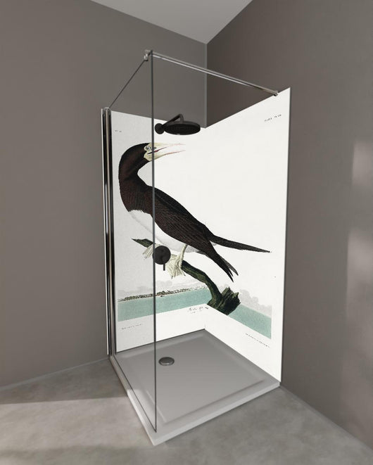 Duschrückwand - Vogel Portrait - Robert Havel