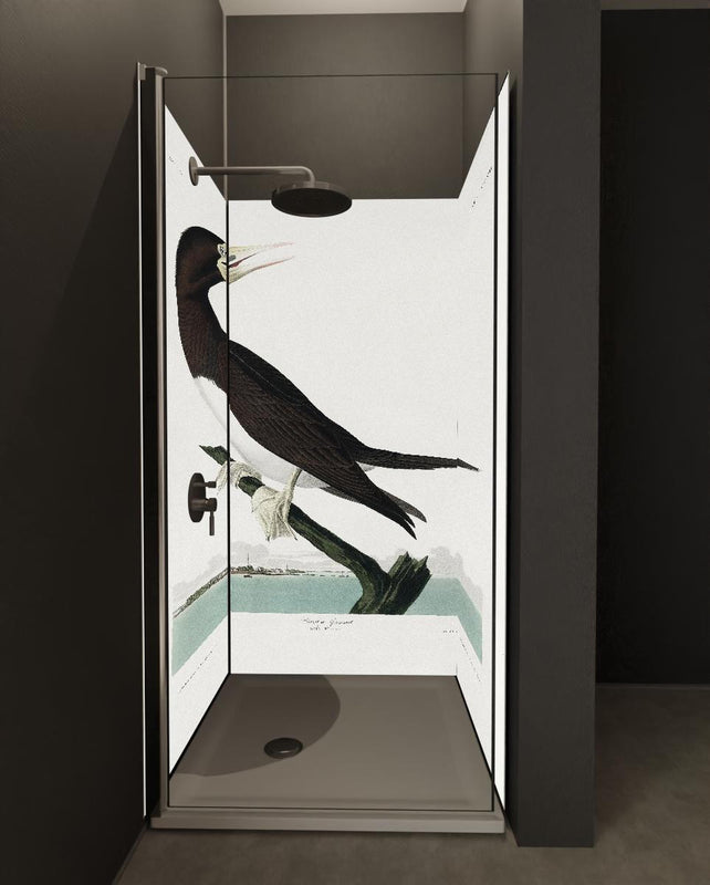 Duschrückwand - Vogel Portrait - Robert Havel