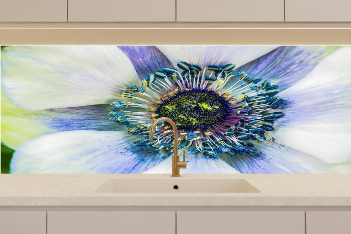 Küchenrückwand - hübsche aufblühende Blume