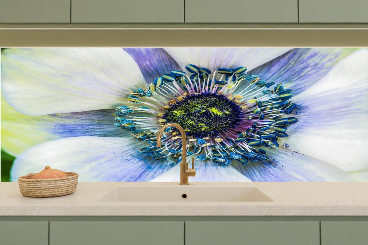 Küchenrückwand - hübsche aufblühende Blume