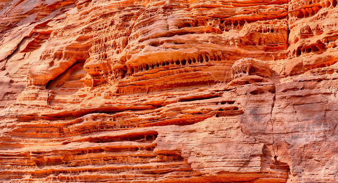 Küchenrückwand - Altschlosspfad im Pirmasens-Land