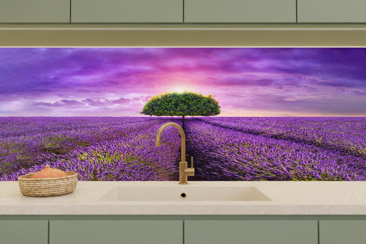 Küchenrückwand - Baum im schönen lavendel Feld