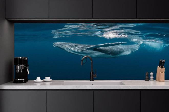 Küchenrückwand - Buckelbaby - nähe Wasseroberfläche