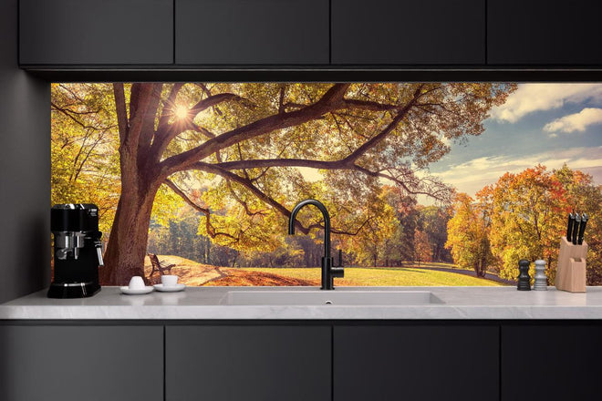 Küchenrückwand - Coburg Hofgarten - Oberfranken